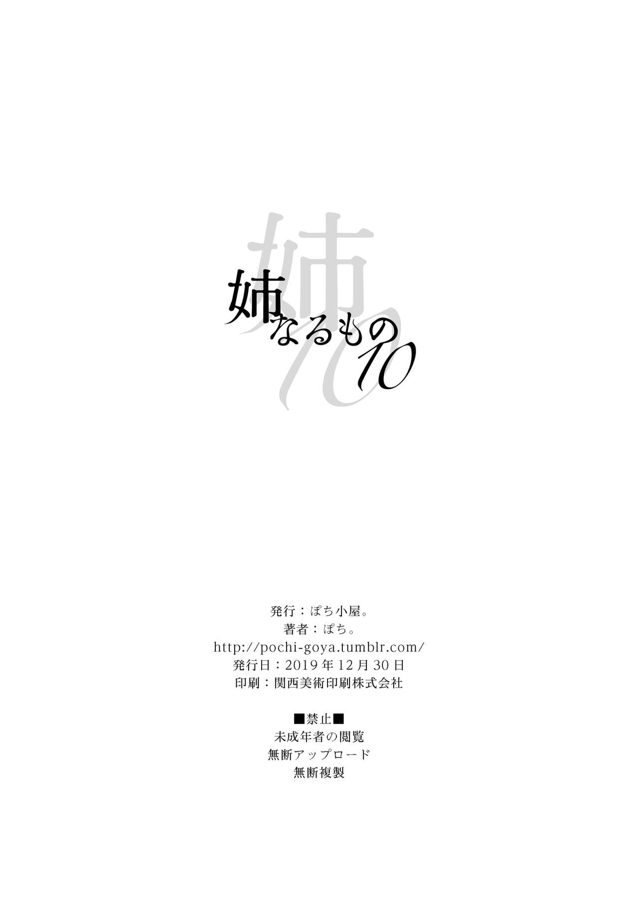 [日本漫画] 姉なるもの 10 单本,巨乳大奶,正太控#[39P]-37