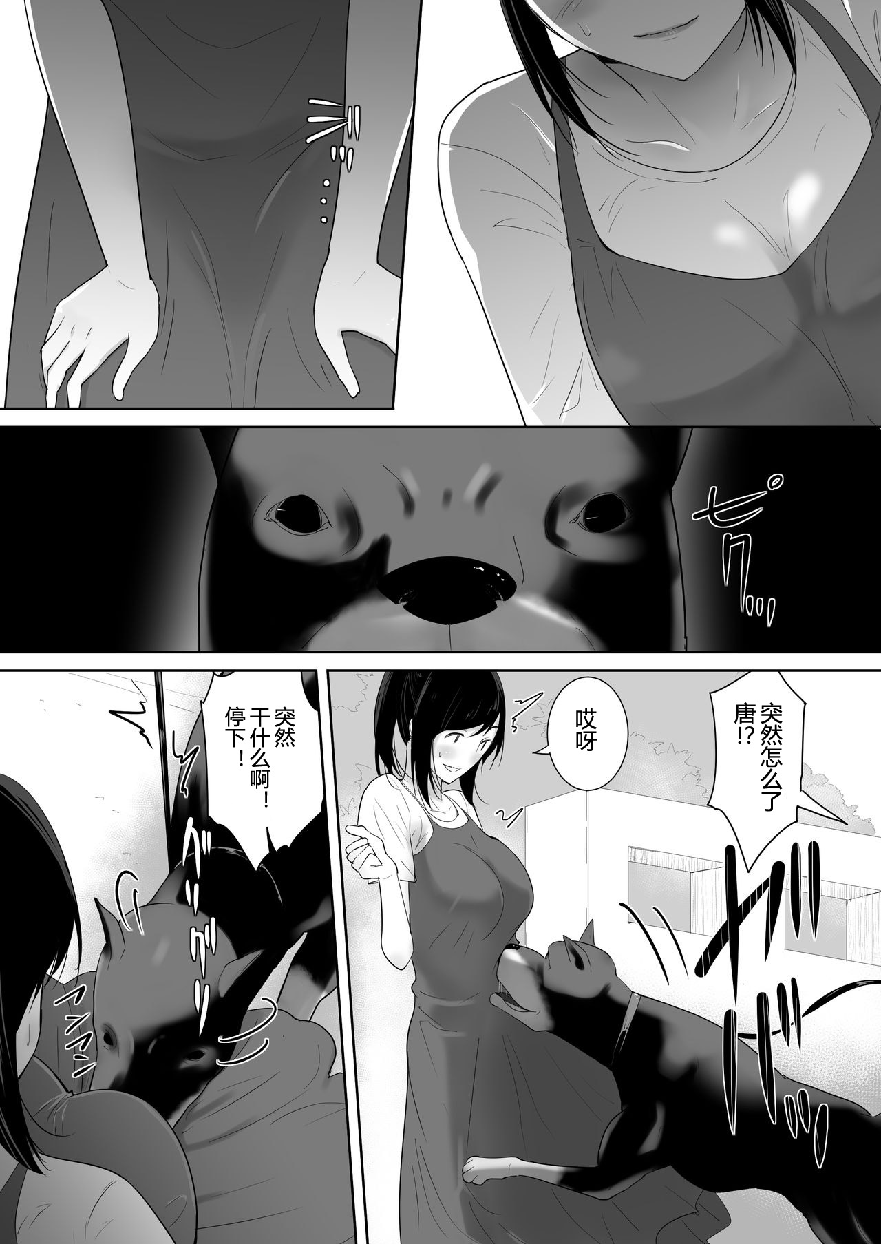 [日本漫画] 我が家にペットがやってきた 2 单本,不伦#[49P]-4