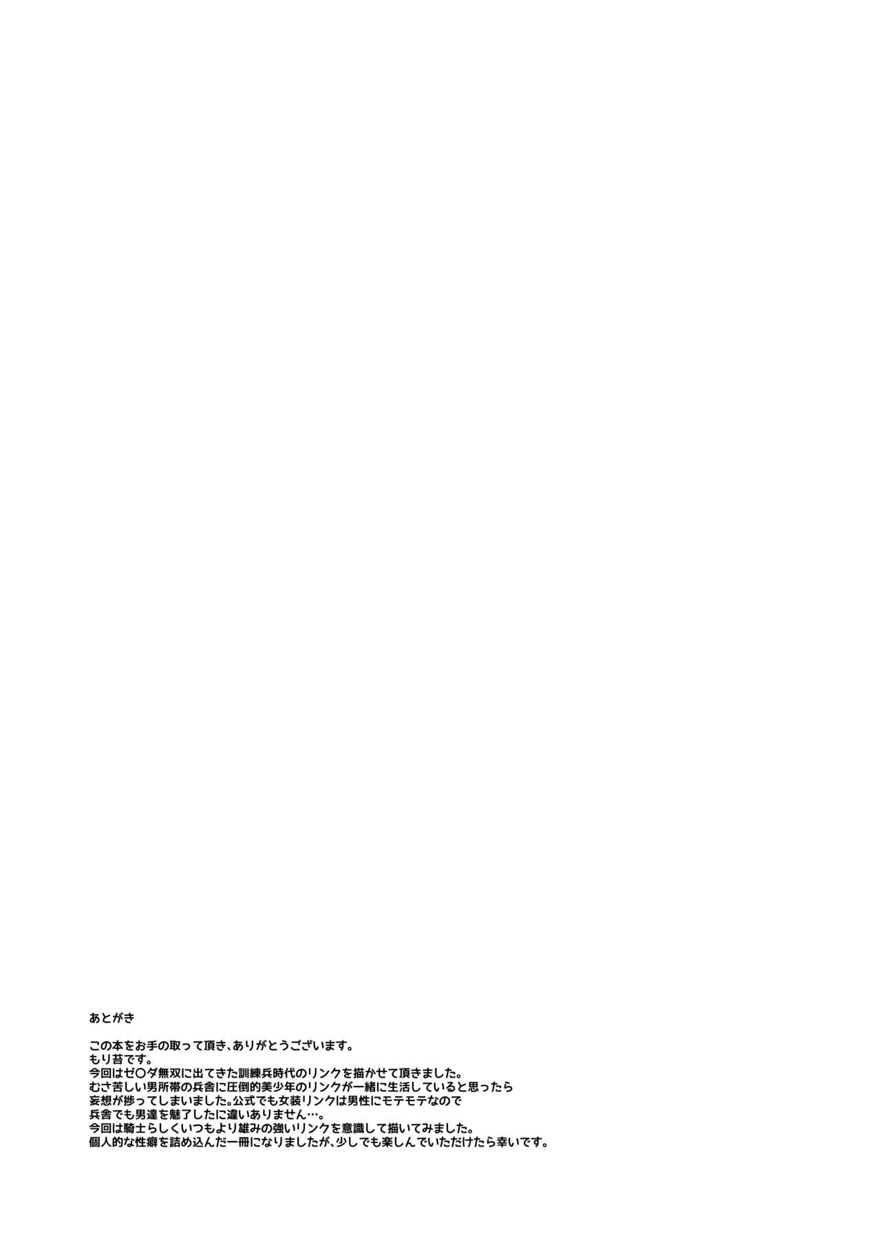 [日本漫画] [Morittokoke (Morikoke)] Kunren-hei no junan (The Legend of Zelda)  单本,妖精,肛门,群P#[27P]-25