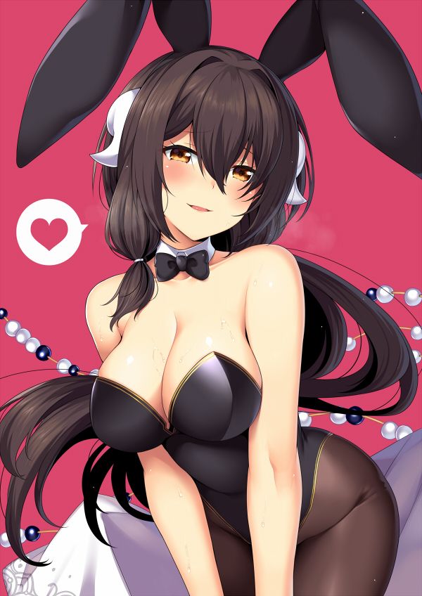 [Manga] [Pixel Wrks (HRSUKE)] Mikasa Daisenpai T Eri Kt Suru HN (Azur Lane) [Digital] Single book, single woman, underwear#[17P]-4