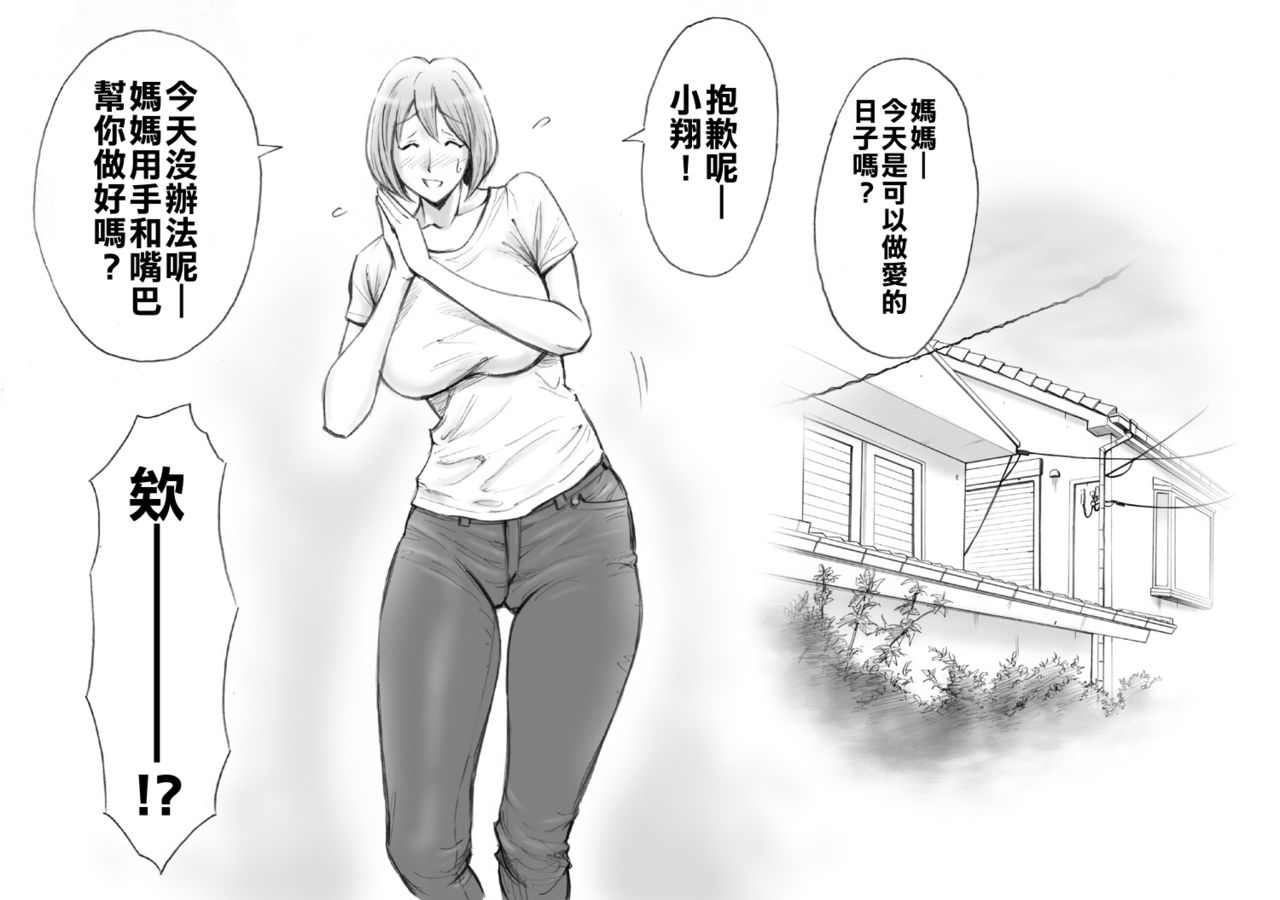 [日本漫画] [DT Koubou (DAIGO)] Daisuki na Mama to Aka-chan o Tsukurou  单本,正太控,巨乳大奶,母亲,单女,单男#[32P]-14