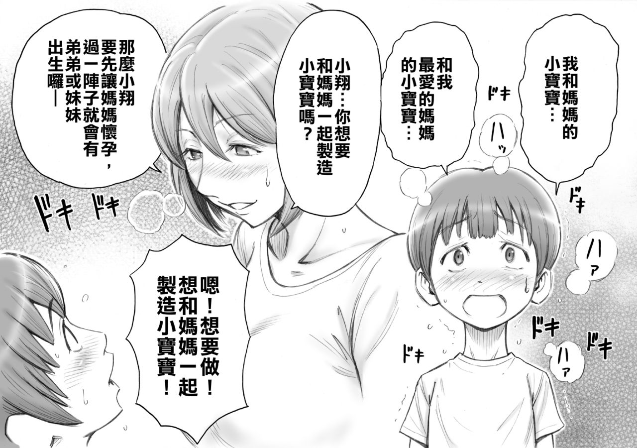 [日本漫画] [DT Koubou (DAIGO)] Daisuki na Mama to Aka-chan o Tsukurou  单本,正太控,巨乳大奶,母亲,单女,单男#[32P]-17