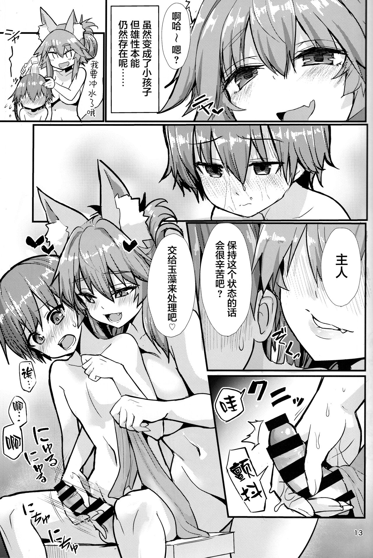 [Manga] (C99) [Yamitsuki Hnp (Wise Speak)] Ryusai Oneshta Tamam-chan (Fate/EXTRA) Single book, Zhengtai Guan, big breasts, single female, animal ears, single male, hairy#[25P]-12