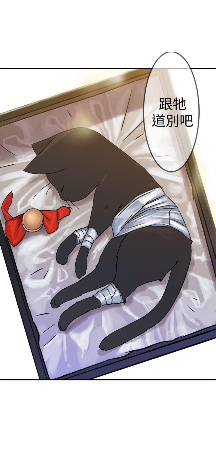 [韩国漫画] 望月仙女传说 剧情,巨乳大奶#[28P]-17