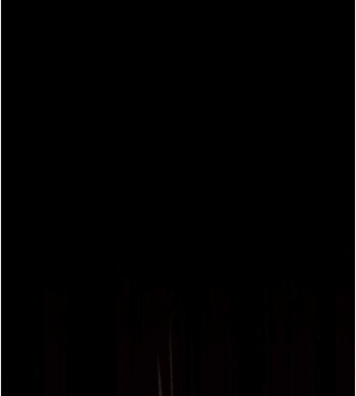[Manhwa] The strongest servant Plot, mature woman wife#[222P]-39