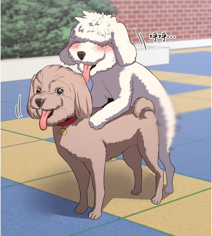 [韩国漫画] 熟女计划书 剧情,OL#[241P]-33
