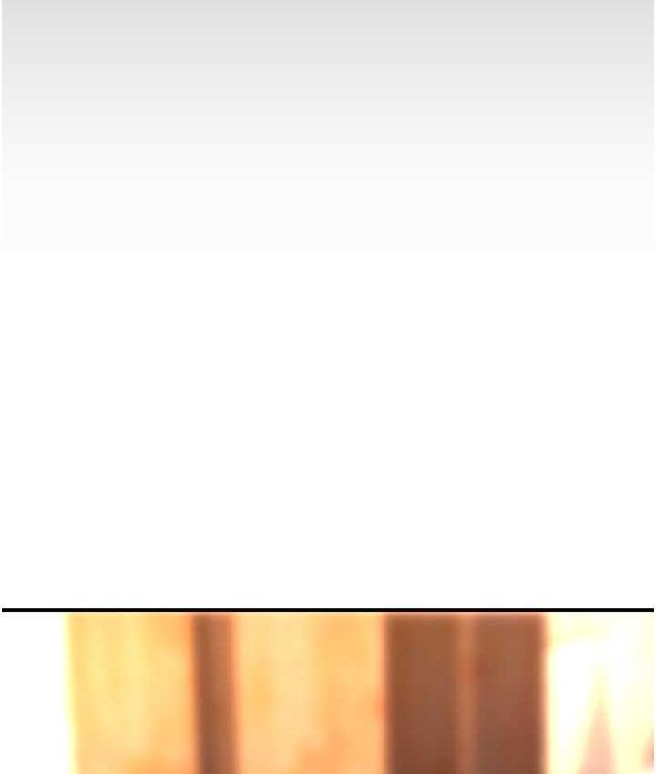 [Manhwa] Revenge mother and daughter bowl Plot, mature woman wife#[167P]-119