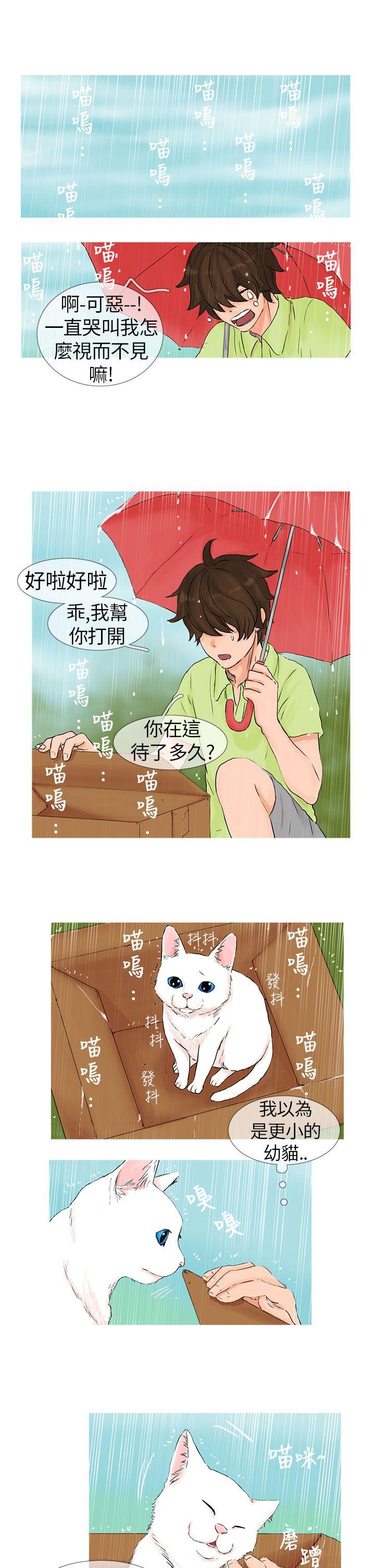 [Manhwa] Wild cat taming manual Fantasy, big breasts#[12P]-5