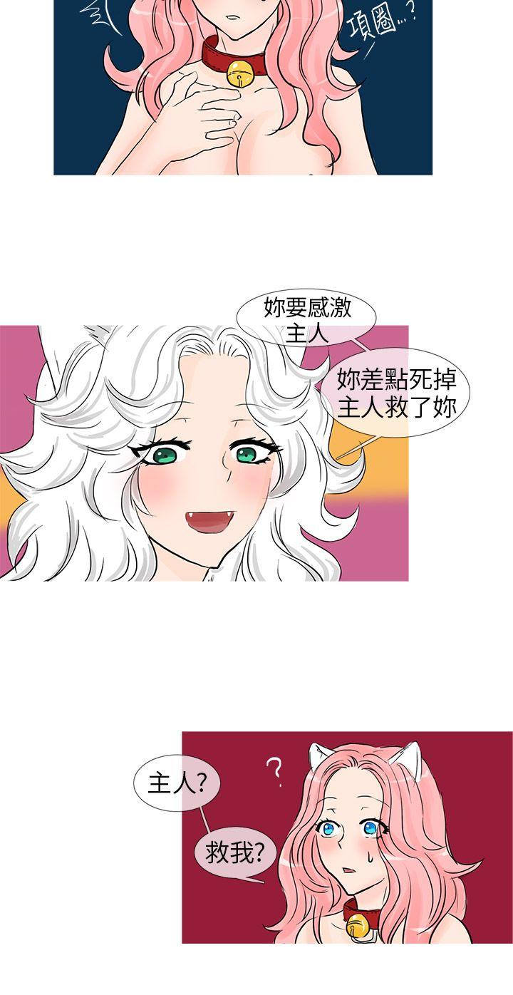 [Manhwa] Wild cat taming manual Fantasy, big breasts#[10P]-8