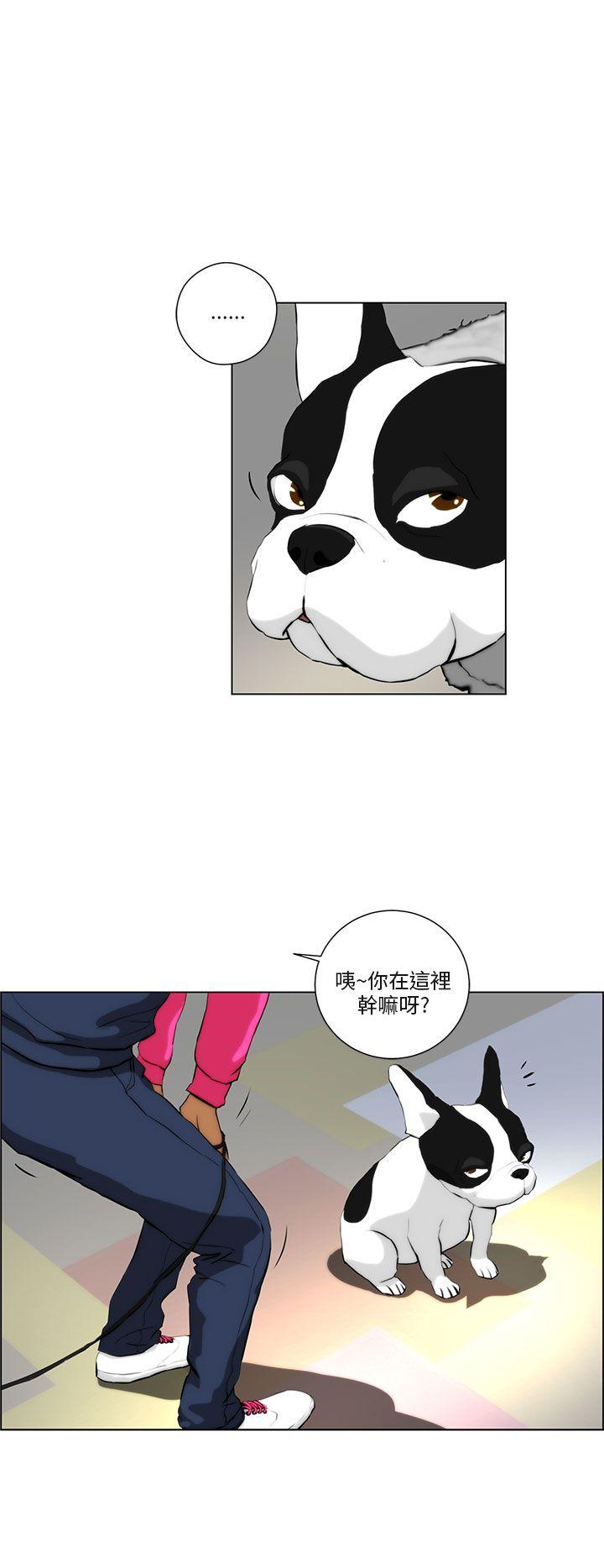 [Manhwa] A man who turns into a dog Plot, big breasts#[20P]-16