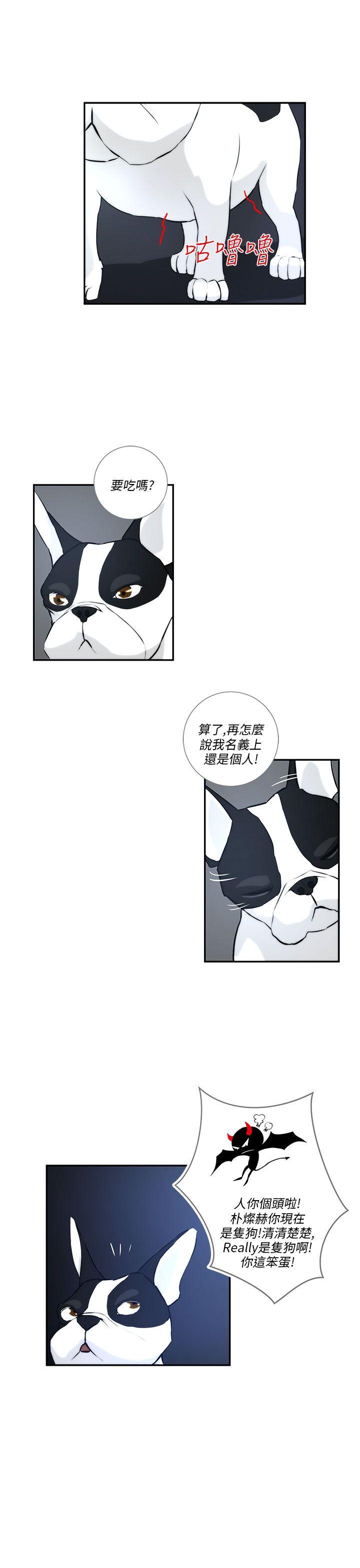 [Manhwa] A man who turns into a dog Plot, big breasts#[27P]-11