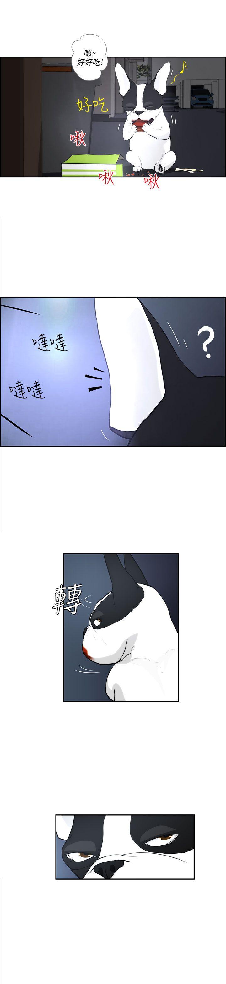 [Manhwa] A man who turns into a dog Plot, big breasts#[27P]-13