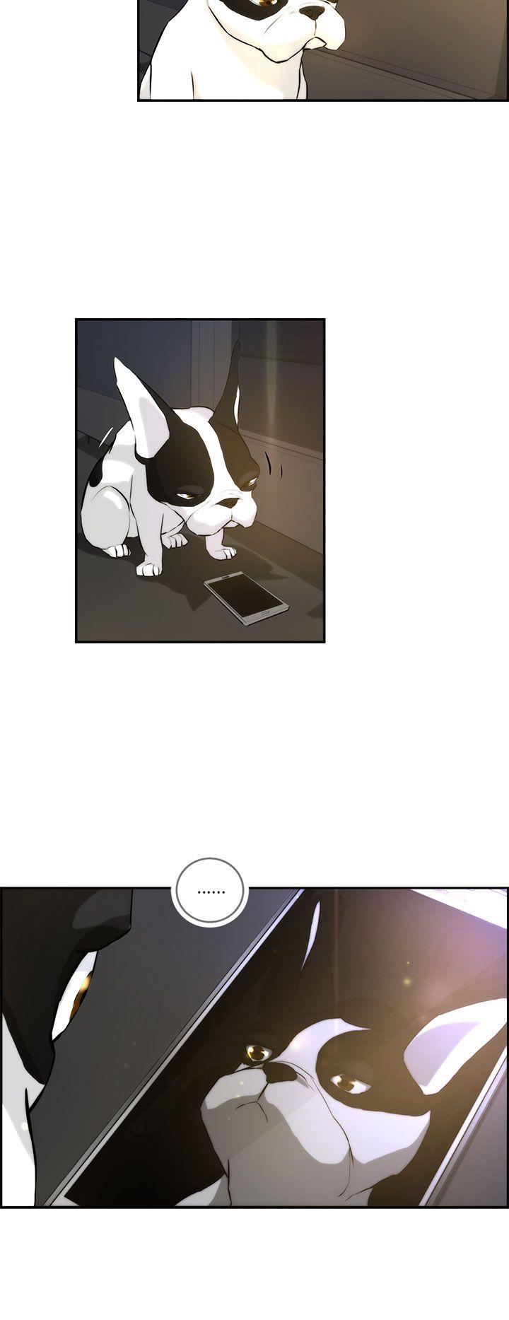 [Manhwa] A man who turns into a dog Plot, big breasts#[27P]-2