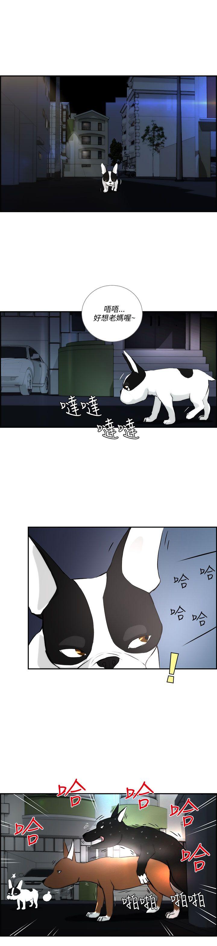 [Manhwa] A man who turns into a dog Plot, big breasts#[27P]-7