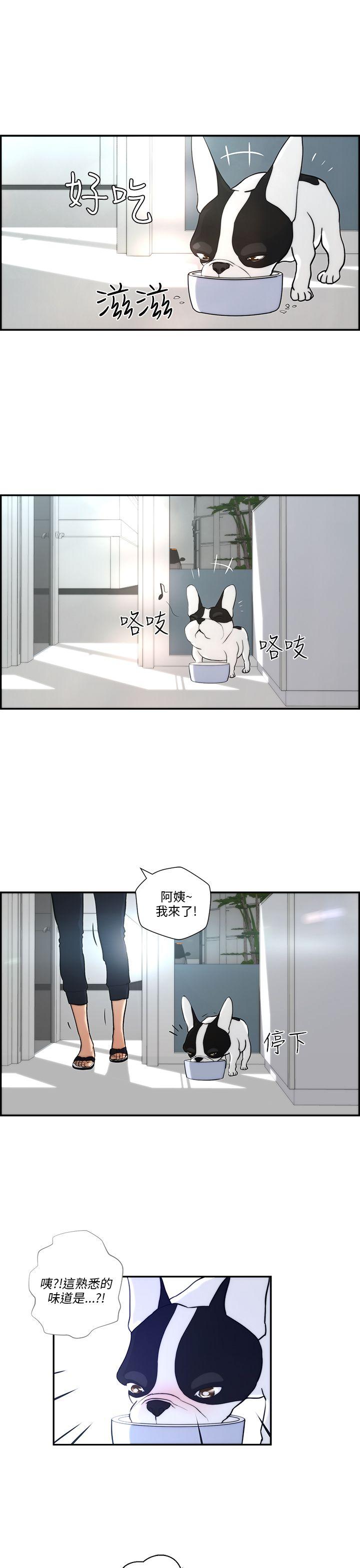[Manhwa] A man who turns into a dog Plot, big breasts#[22P]-21
