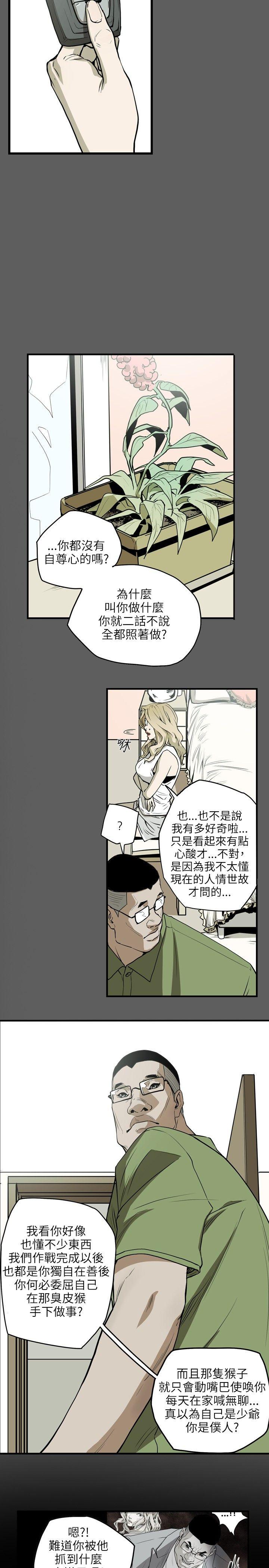 [Manhwa] Hney trap Sweet trap Love, mature woman, big breasts#[24P]-20