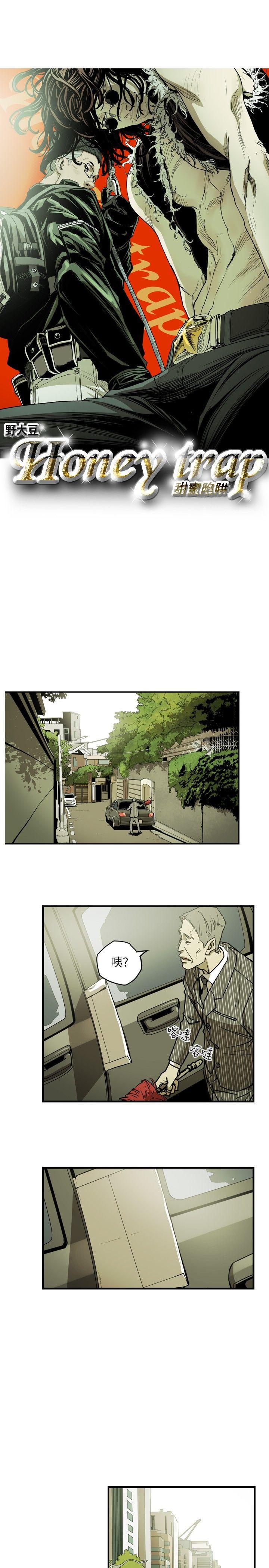 [韩国漫画] Honey trap 甜蜜陷阱 爱情,熟女人妻,巨乳大奶#[22P]-8