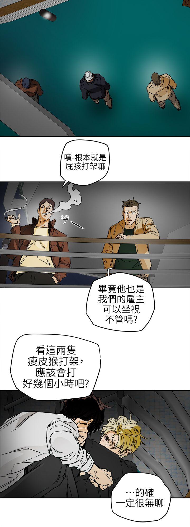 [韩国漫画] Honey trap 甜蜜陷阱 爱情,熟女人妻,巨乳大奶#[31P]-12