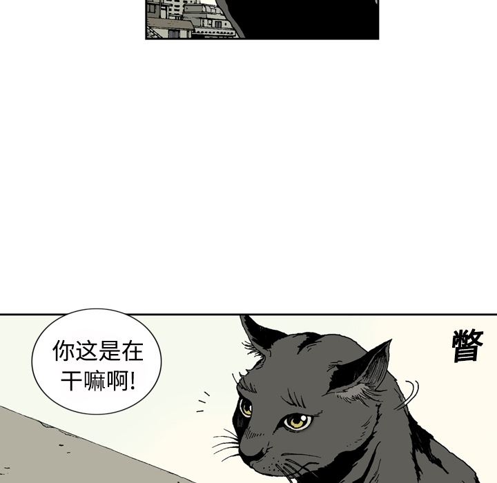 [韩国漫画] 逐步靠近 爱情,巨乳大奶#[84P]-64