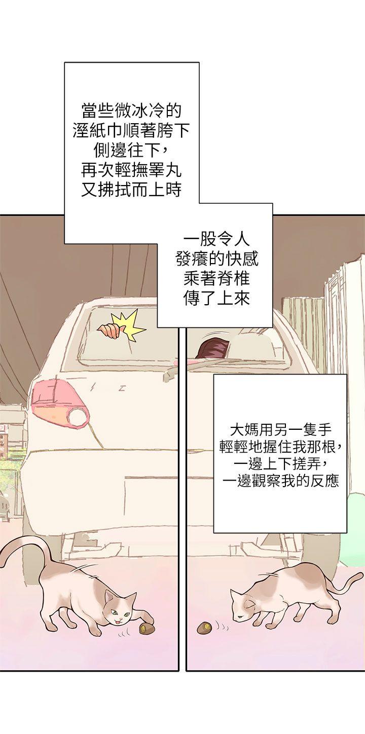 [韩国漫画] 野道剧场 爱情,熟女人妻,巨乳大奶, 后宫#[63P]-13