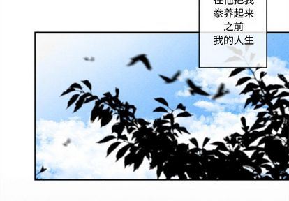 [韩国漫画] 墓志铭 BL,剧情向#[99P]-4