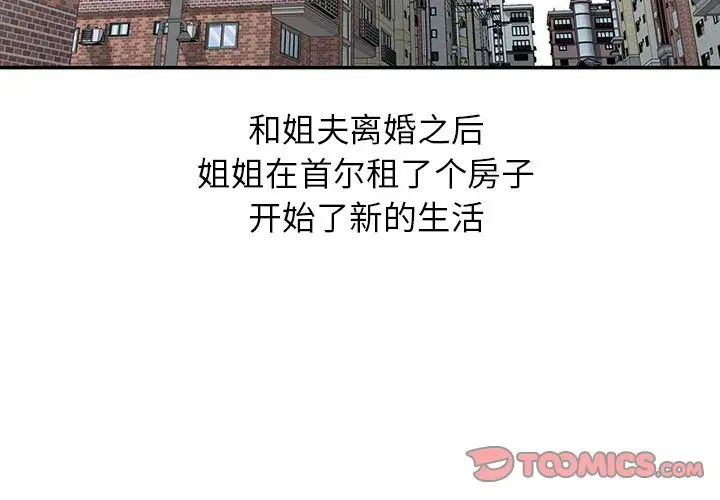 [韩国漫画] 姐姐的秘密 剧情,熟女人妻,巨乳大奶#[158P]-3