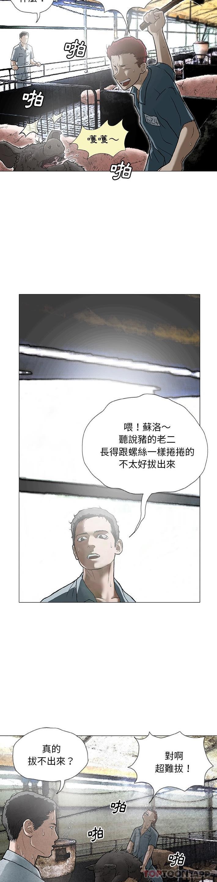 [韩国漫画] 野狗 剧情,女仆#[26P]-4