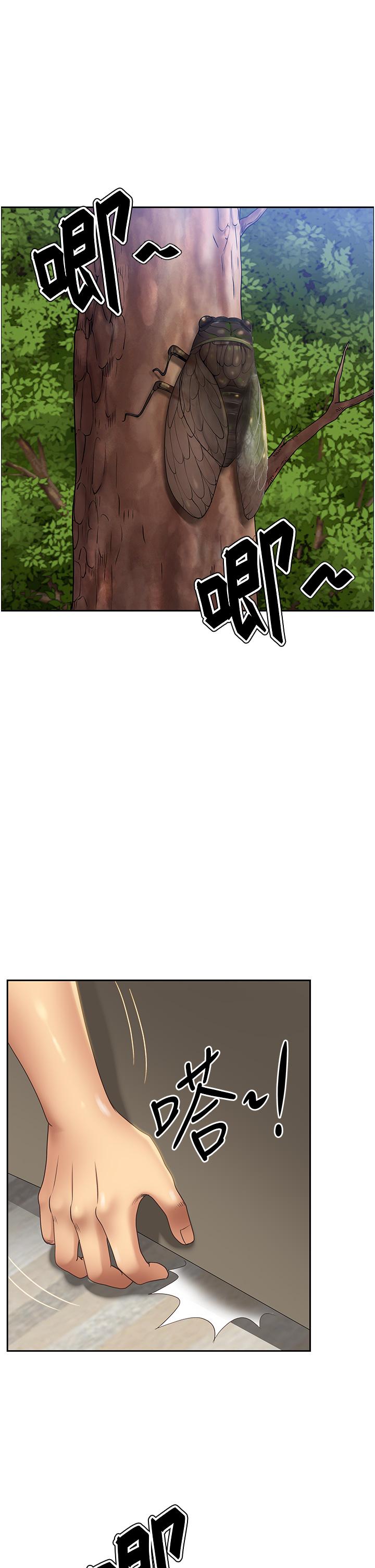 [Manhwa] Local wives Plot, mature woman wife#[63P]-1