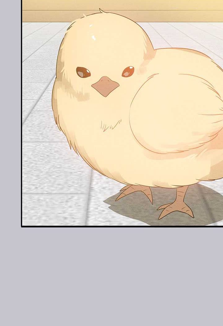 [Manhwa] Rich female sister Plot, mature woman, big breasts#[170P]-168