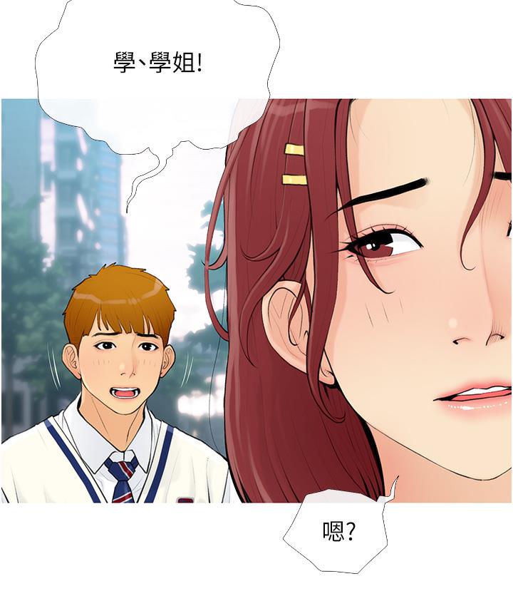 [韩国漫画] 糖果爸爸的抢婚大作战 剧情,职场#[162P]-37