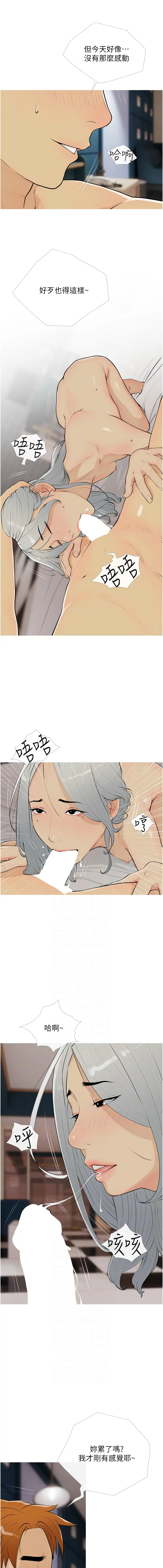 [韩国漫画] 糖果爸爸的抢婚大作战 剧情,职场#[12P]-6
