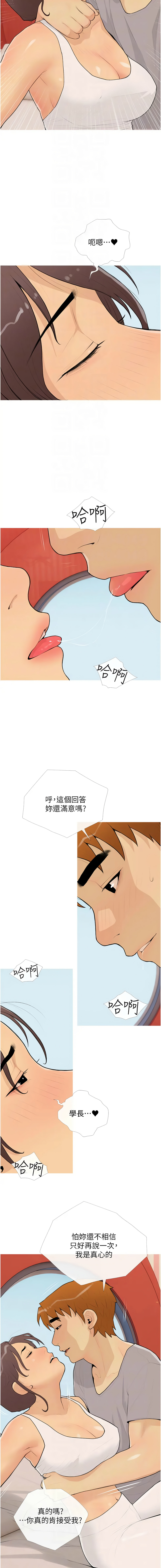 [韩国漫画] 糖果爸爸的抢婚大作战 剧情,职场#[12P]-8