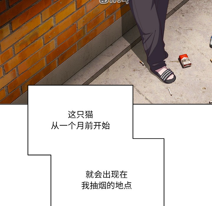 [Manhwa] Meow's love Plot, female student#[225P]-83