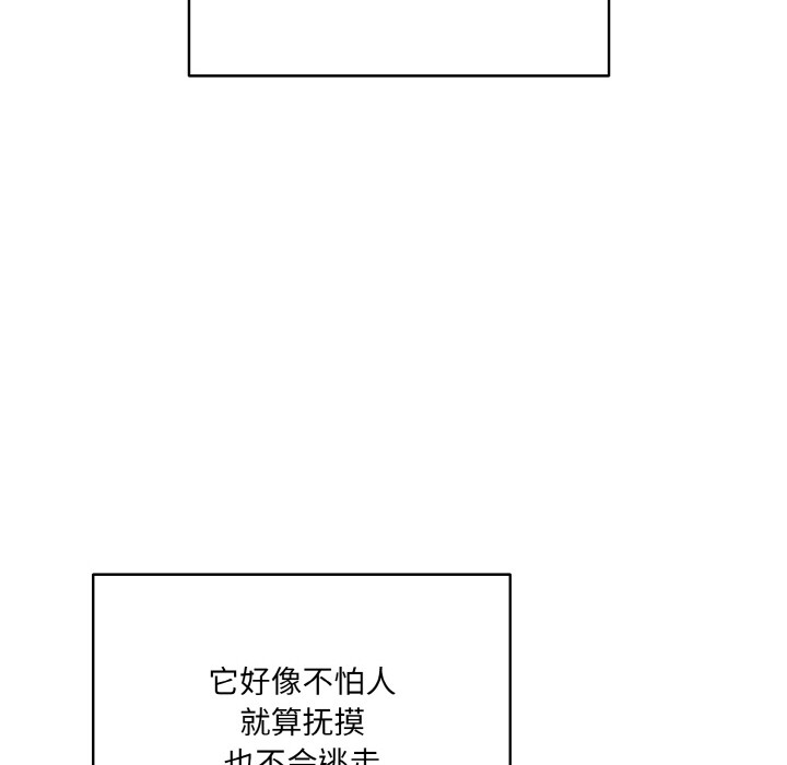 [Manhwa] Meow's love Plot, female student#[225P]-84