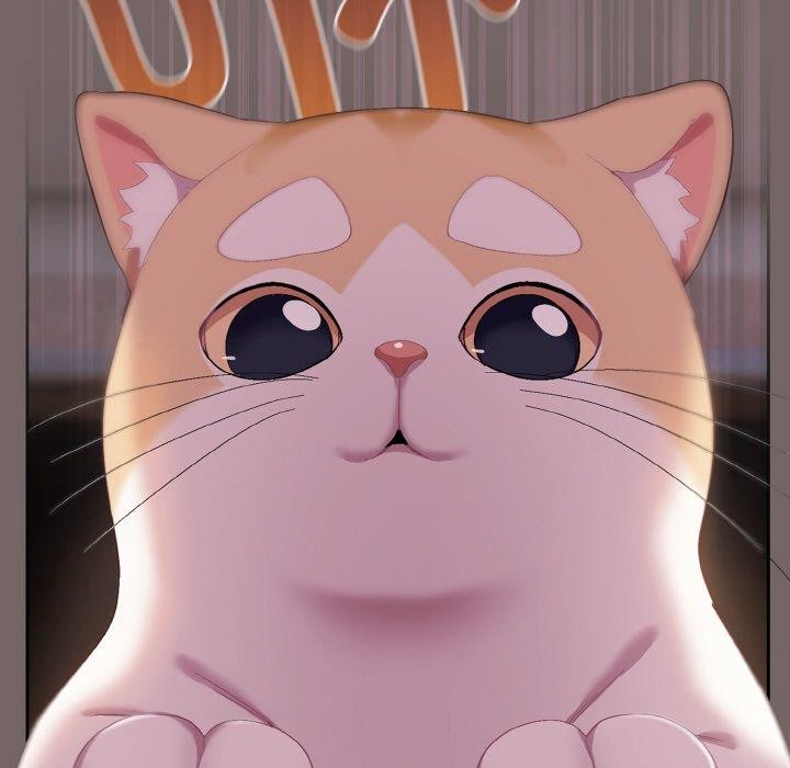 [Manhwa] Meow's love Plot, female student#[221P]-149