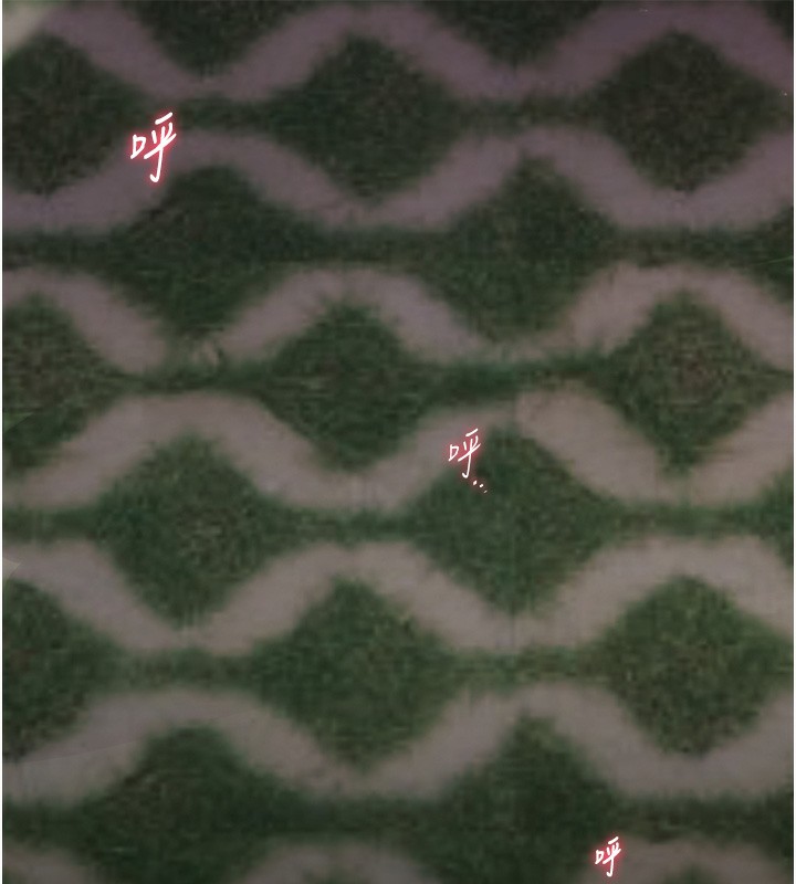 [韩国漫画] 老师的亲密指导 剧情,女教师#[144P]-143