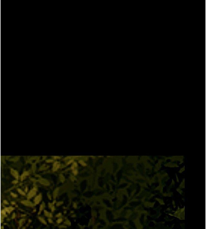 [韩国漫画] 老师的亲密指导 剧情,女教师#[192P]-11