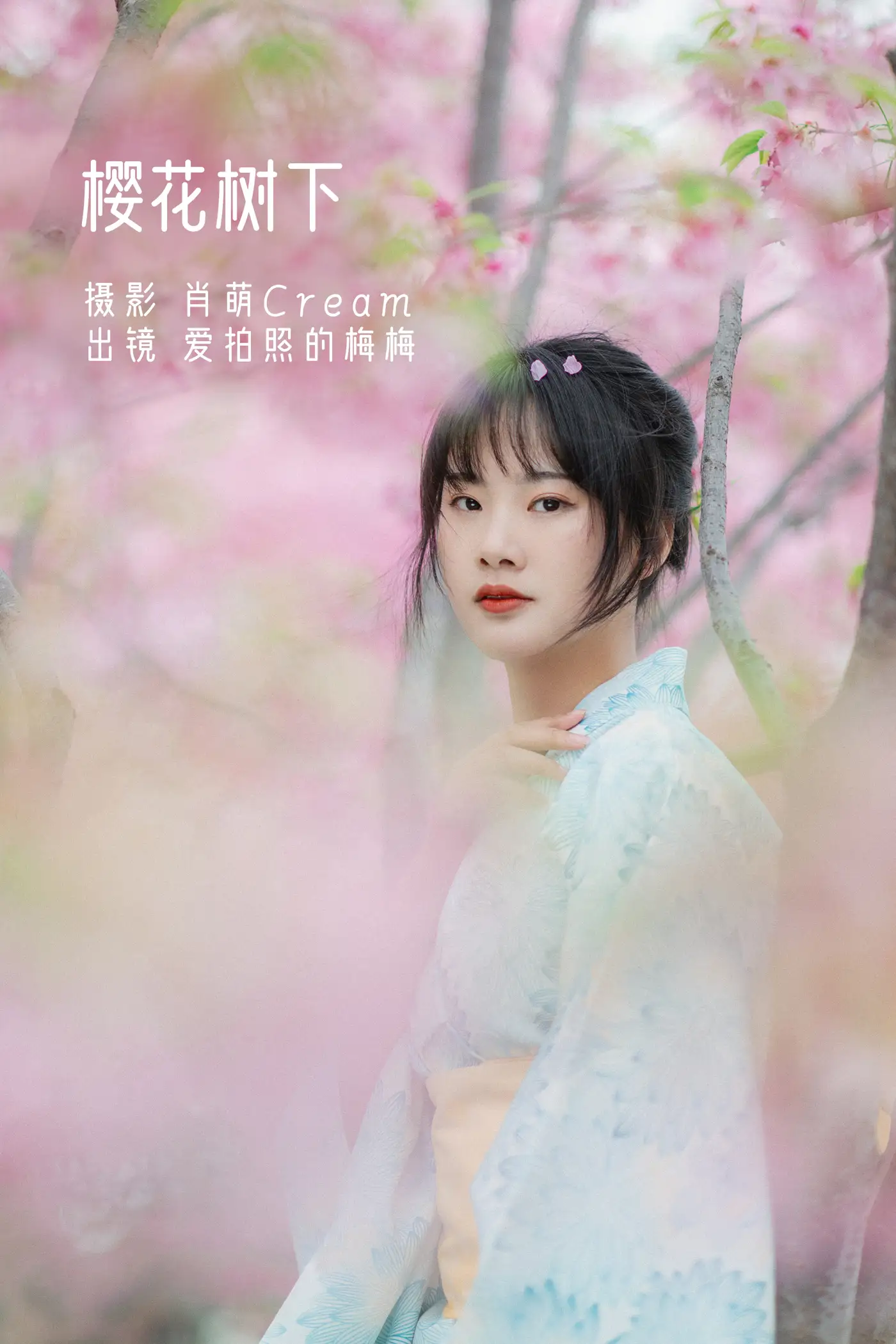 2022.11.19 Vol.2478 – 樱花树下