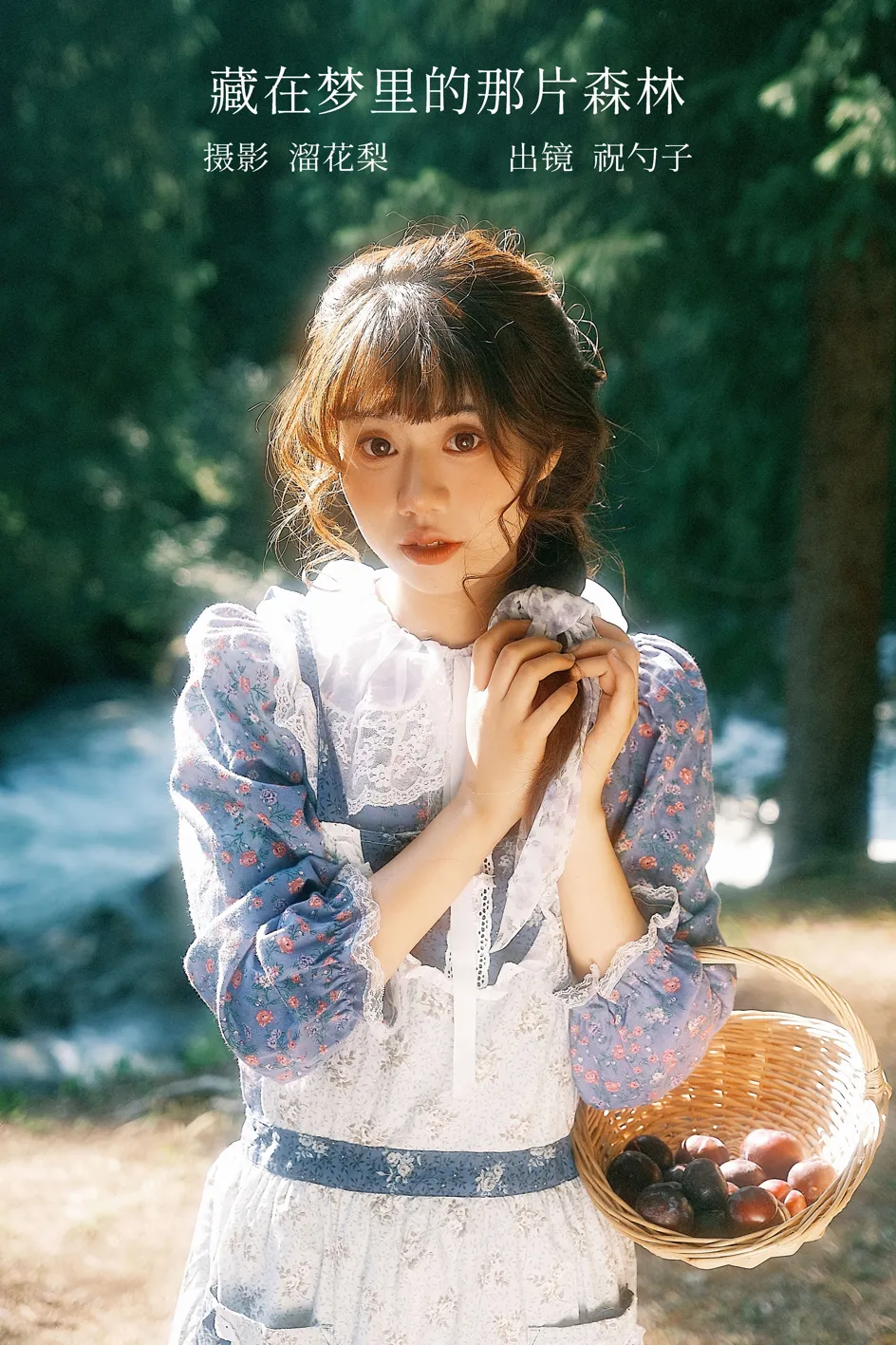 2022.12.06 Vol.2609 – 藏在梦里的那片森林