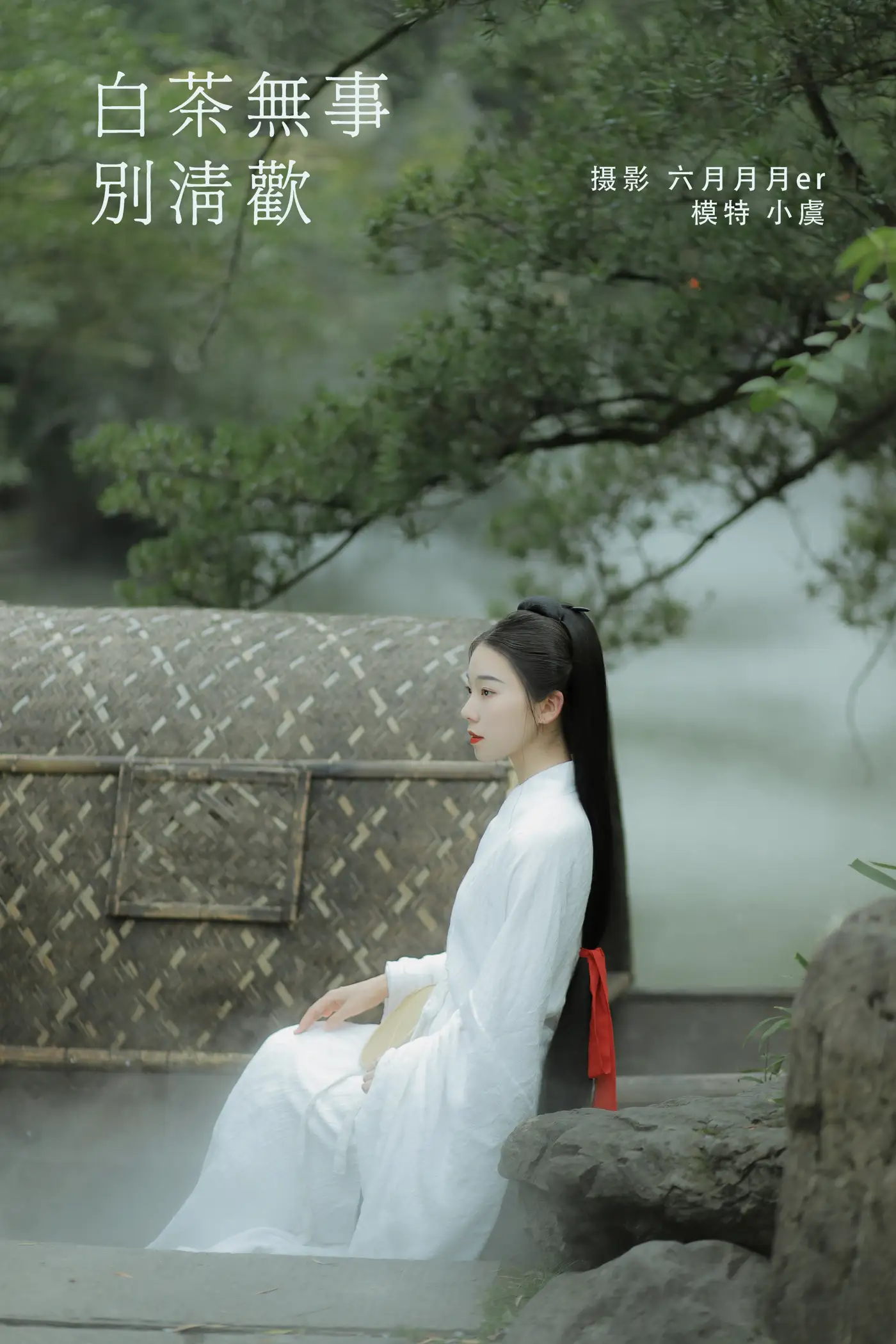 2022.02.03 Vol.742 – 白茶无事别清欢