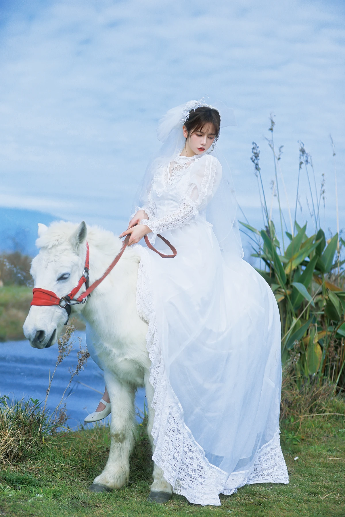 [艺图语] 2023.01.08 Vol.2867 – 桑桑，我带你回家。 林木婷子#[23P]-4