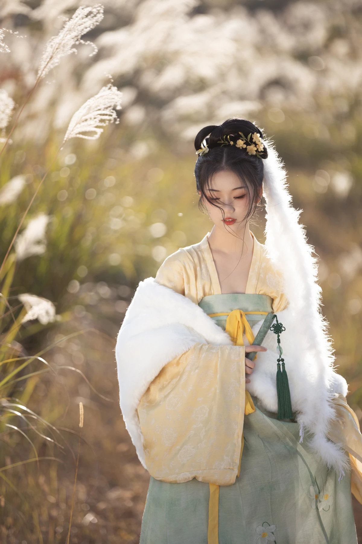 [艺图语] 2023.02.09 Vol.3004 芦苇晚风鸣 晚江亭#[26P]-4