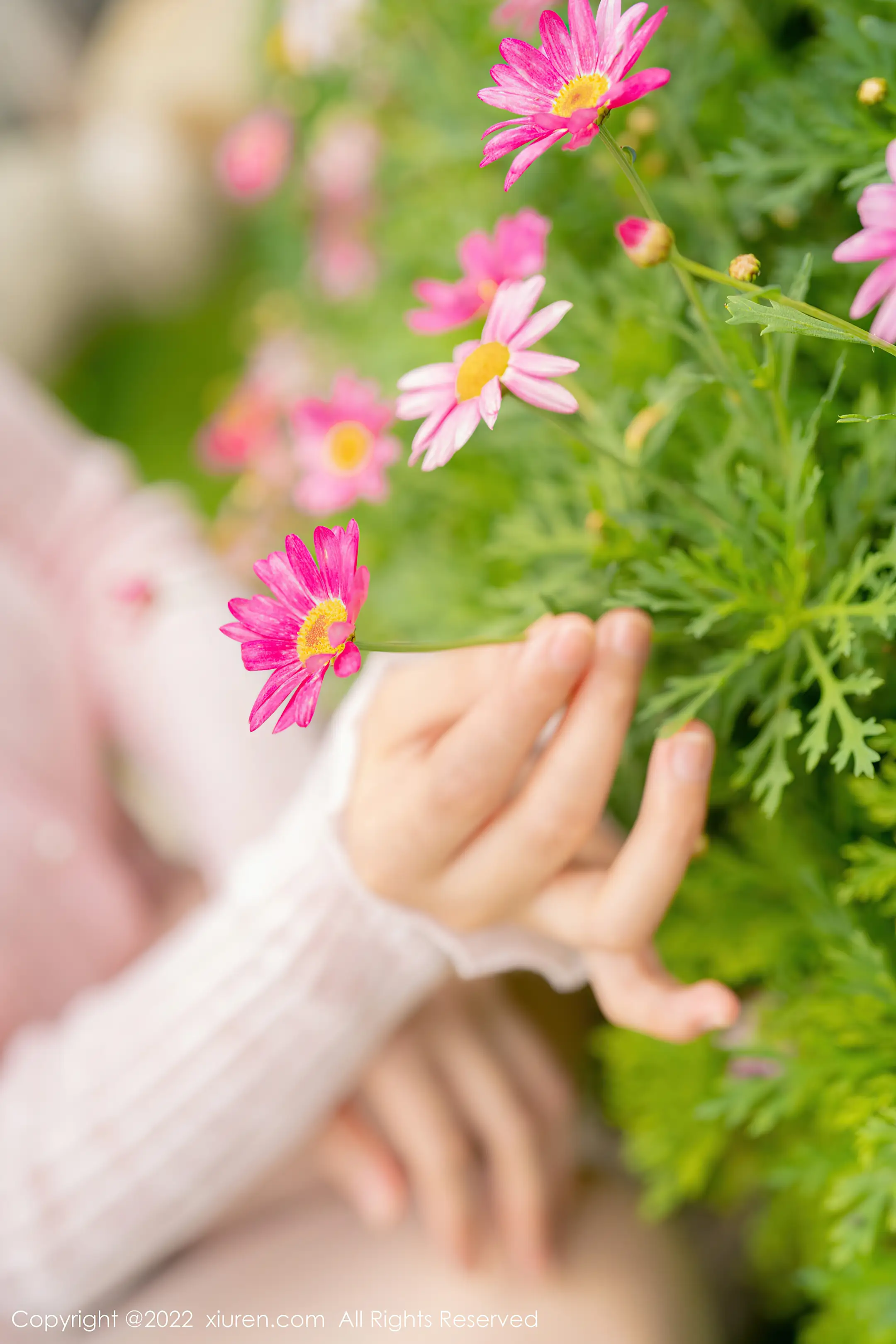 [秀人网] 2022.07.19 – NO.5295 朱可儿Flora#[72P]-1