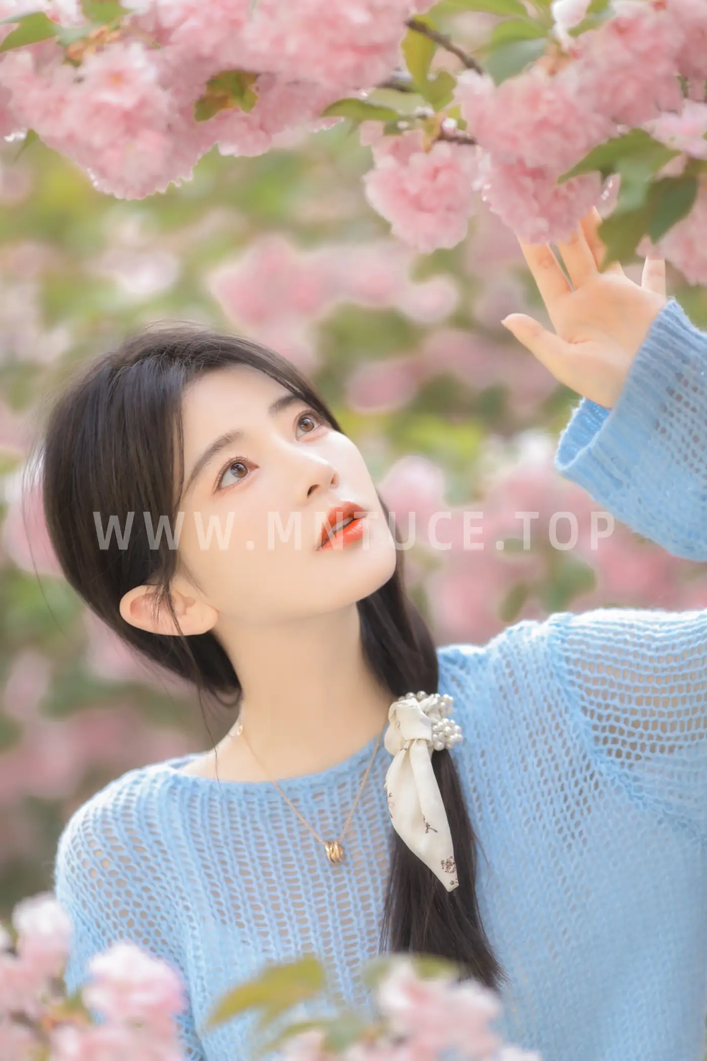 [艺图语] 2022.06.22 Vol.1252 – 粉蓝晚樱 杨伊墨#[29P]-1