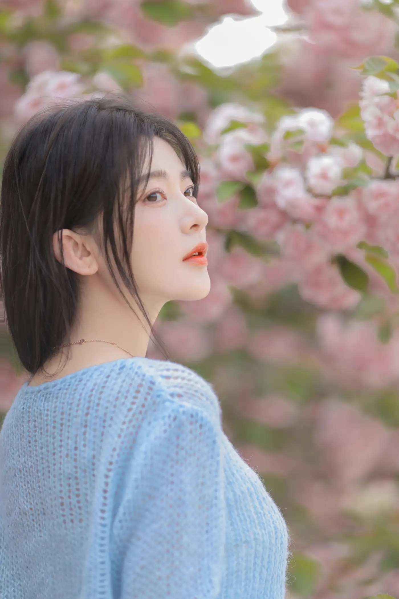 [艺图语] 2022.06.22 Vol.1252 – 粉蓝晚樱 杨伊墨#[29P]-2