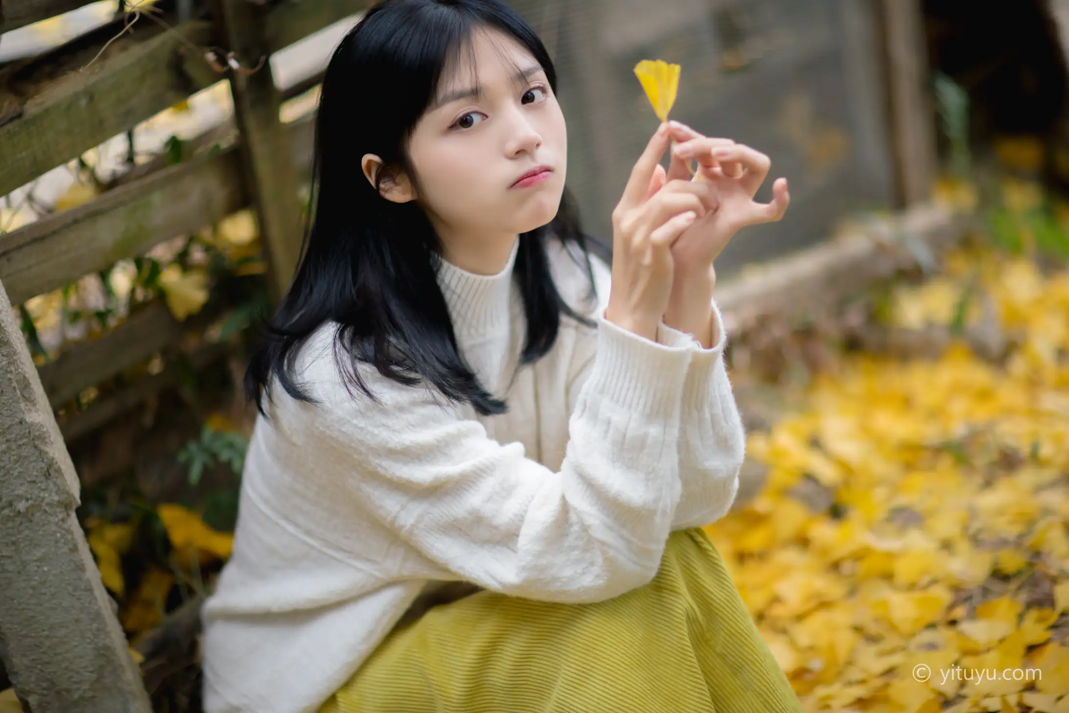 [艺图语] 2021.08.14 Vol.131 – 银杏之恋 雨文#[39P]-1