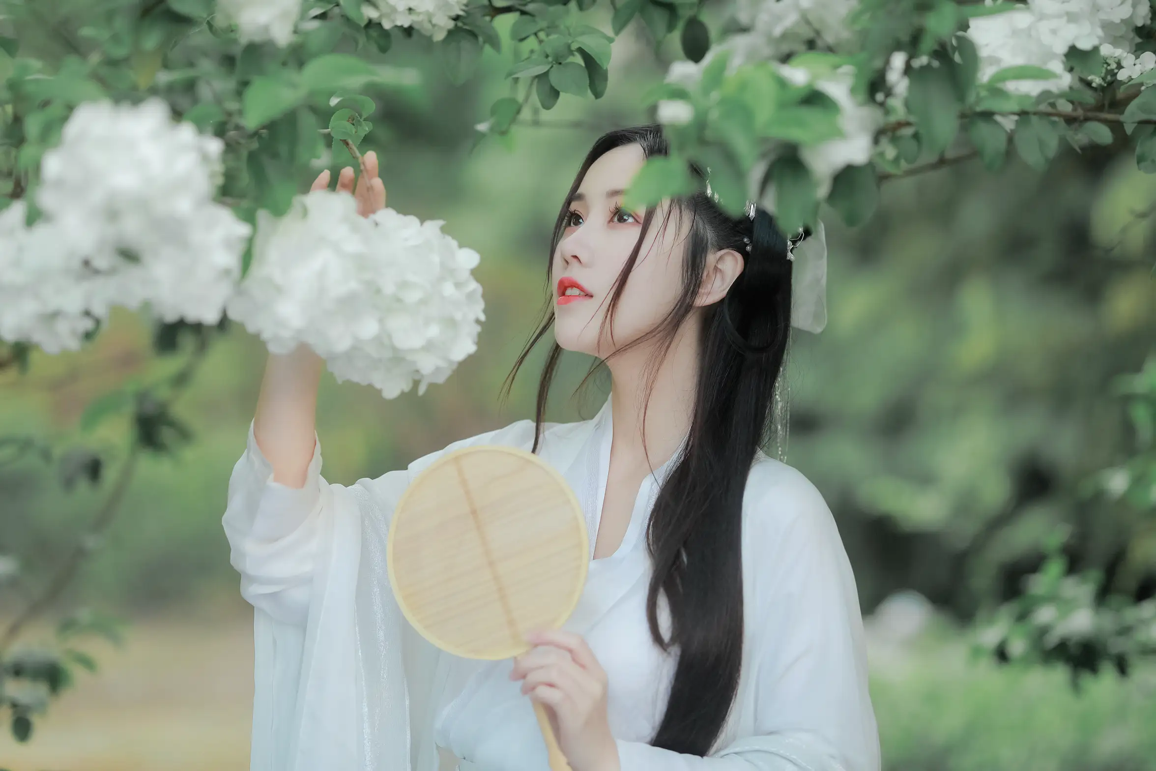 [艺图语] 2022.05.20 Vol.0940 – 紫荆花开 若希icy#[23P]-1