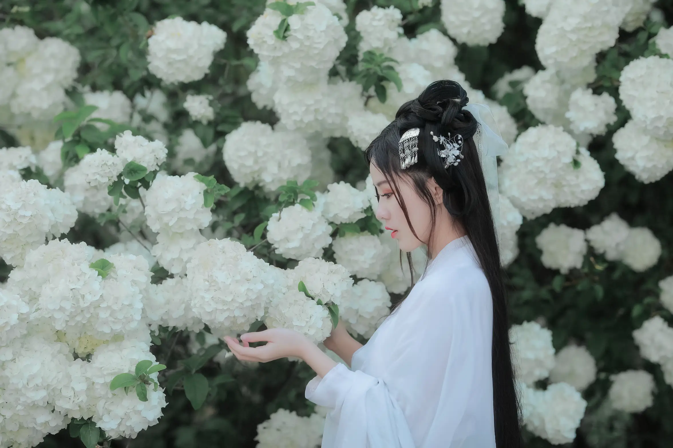 [艺图语] 2022.05.20 Vol.0940 – 紫荆花开 若希icy#[23P]-7