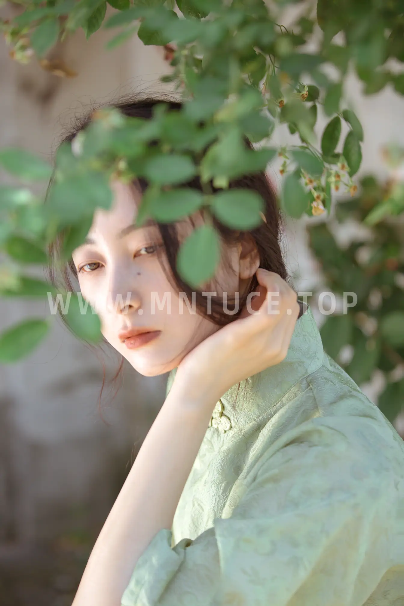 [艺图语] 2022.06.27 Vol.1309 – 总有人间一两风 五月的三花猫#[24P]-1