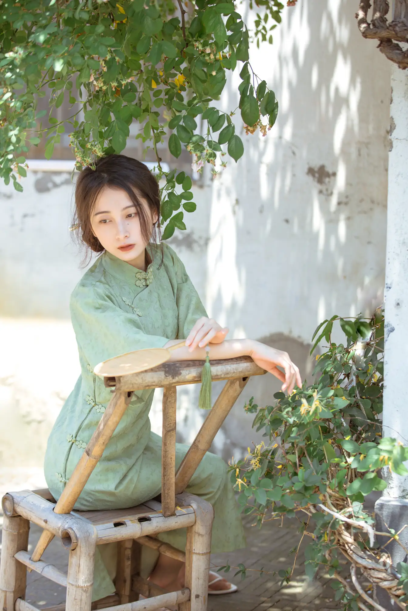 [艺图语] 2022.06.27 Vol.1309 – 总有人间一两风 五月的三花猫#[24P]-6